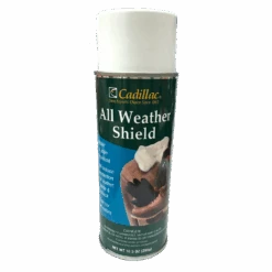 Rain & Stain Cadillac Water Shield Spray